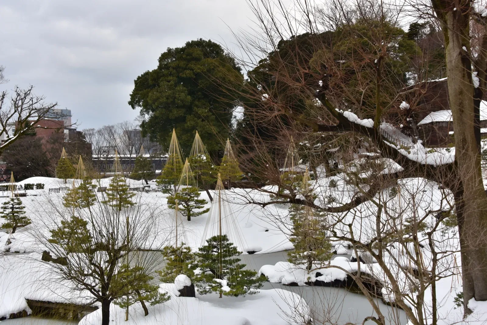 圓潤潤的積雪為蕭瑟的冬天增添了一抹視覺上的美感