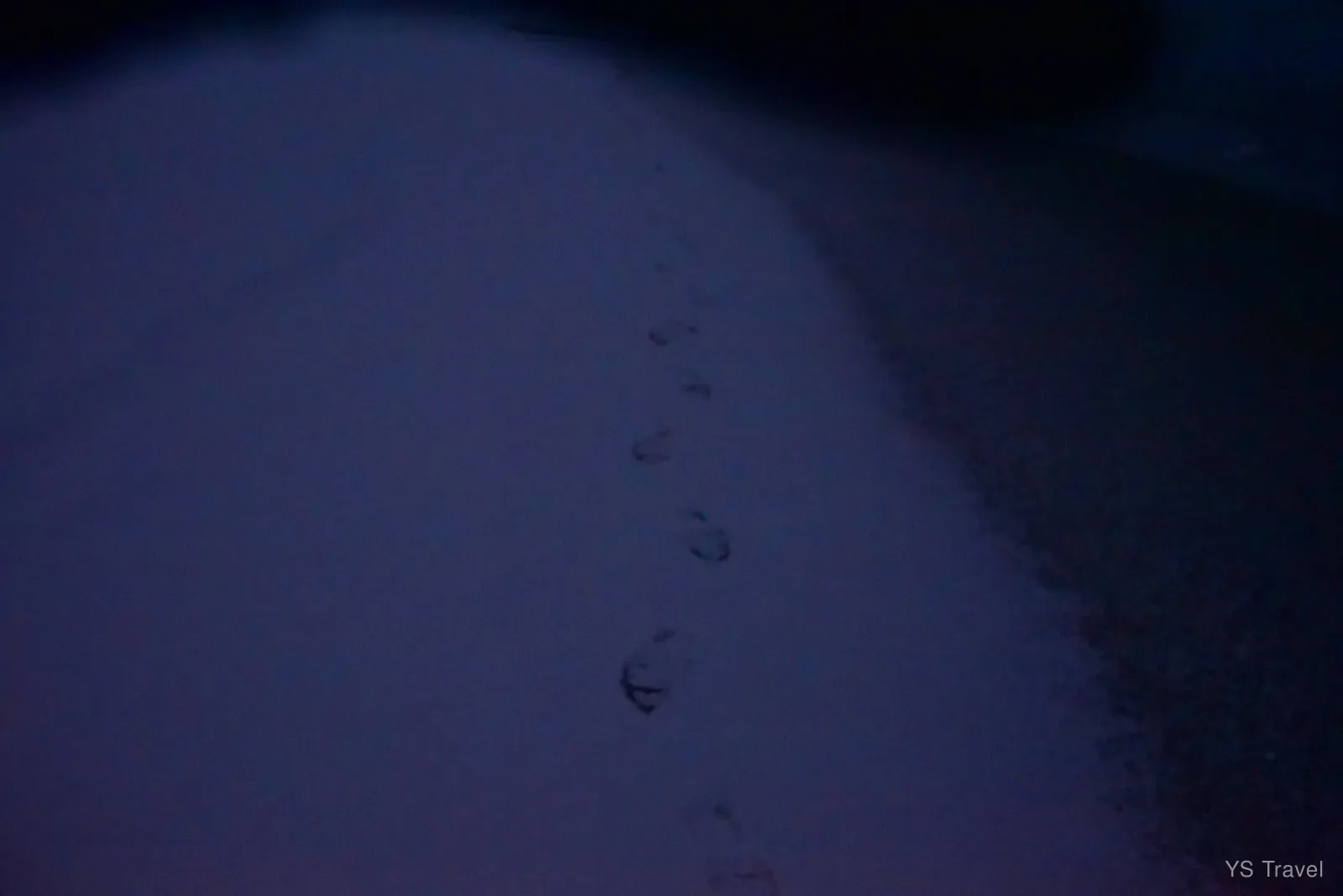 雪厚到走過幾乎不見痕跡