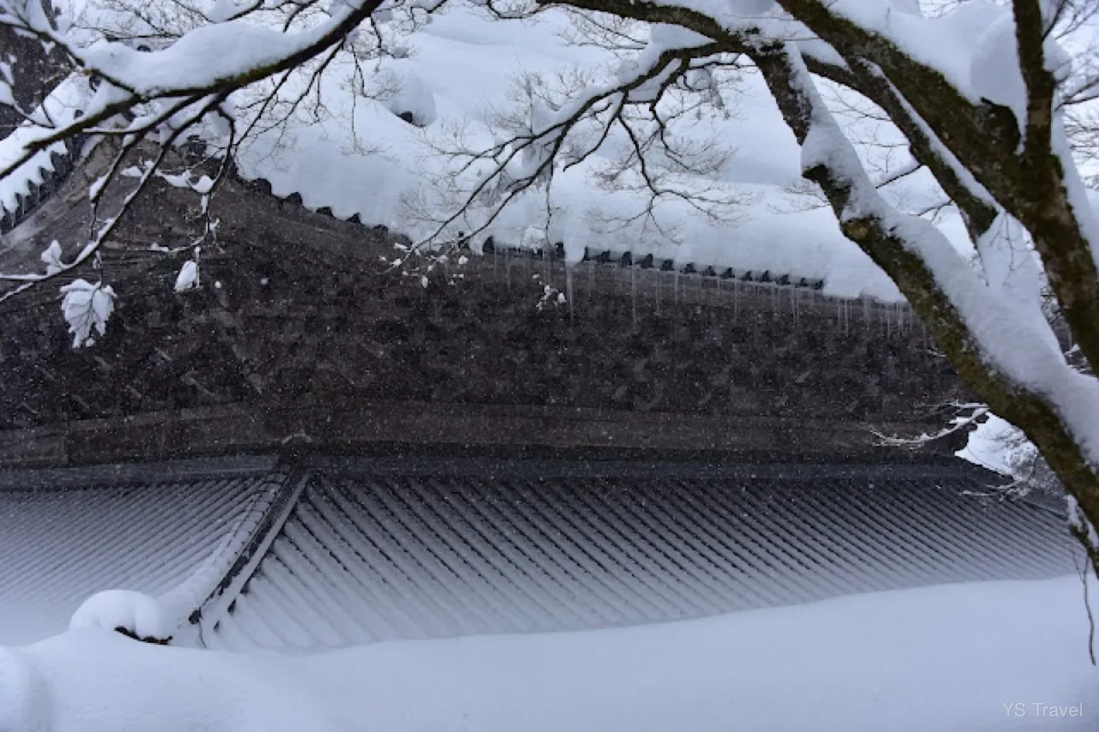 窗外望去,屋簷都覆蓋著厚厚的雪
