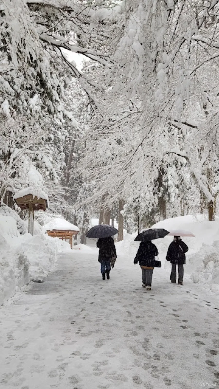 進到永平寺內部也是被雪厚厚地覆蓋著